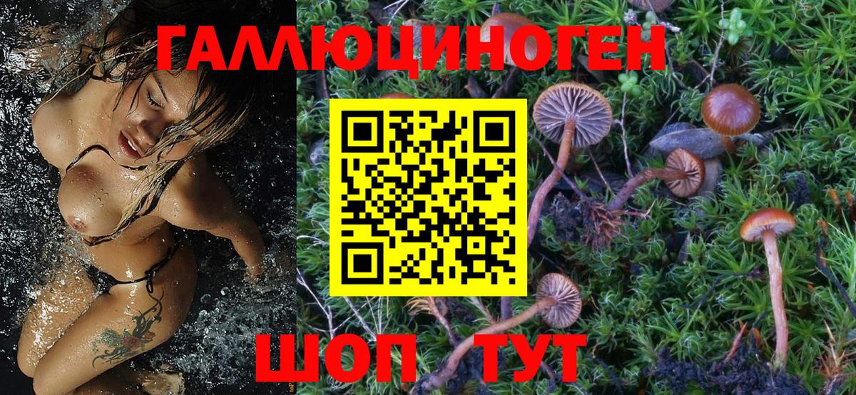 Кулебаки  Галлюциногенные грибы GOLDEN TEACHER  Вход с VPN 