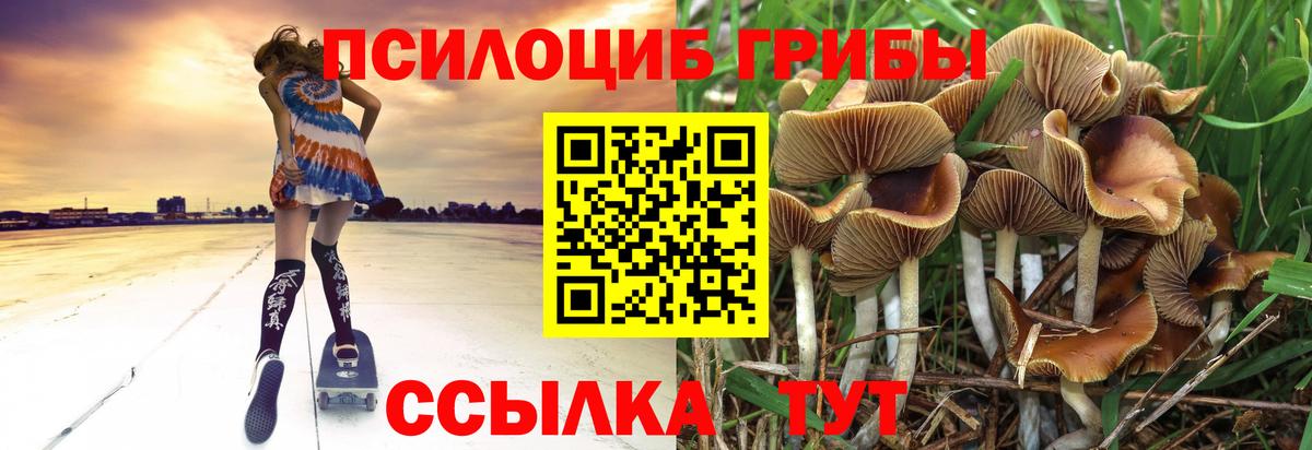 Псилоцибиновые грибы мицелий Кулебаки